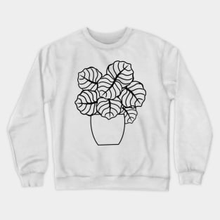 Color In Calathea Crewneck Sweatshirt